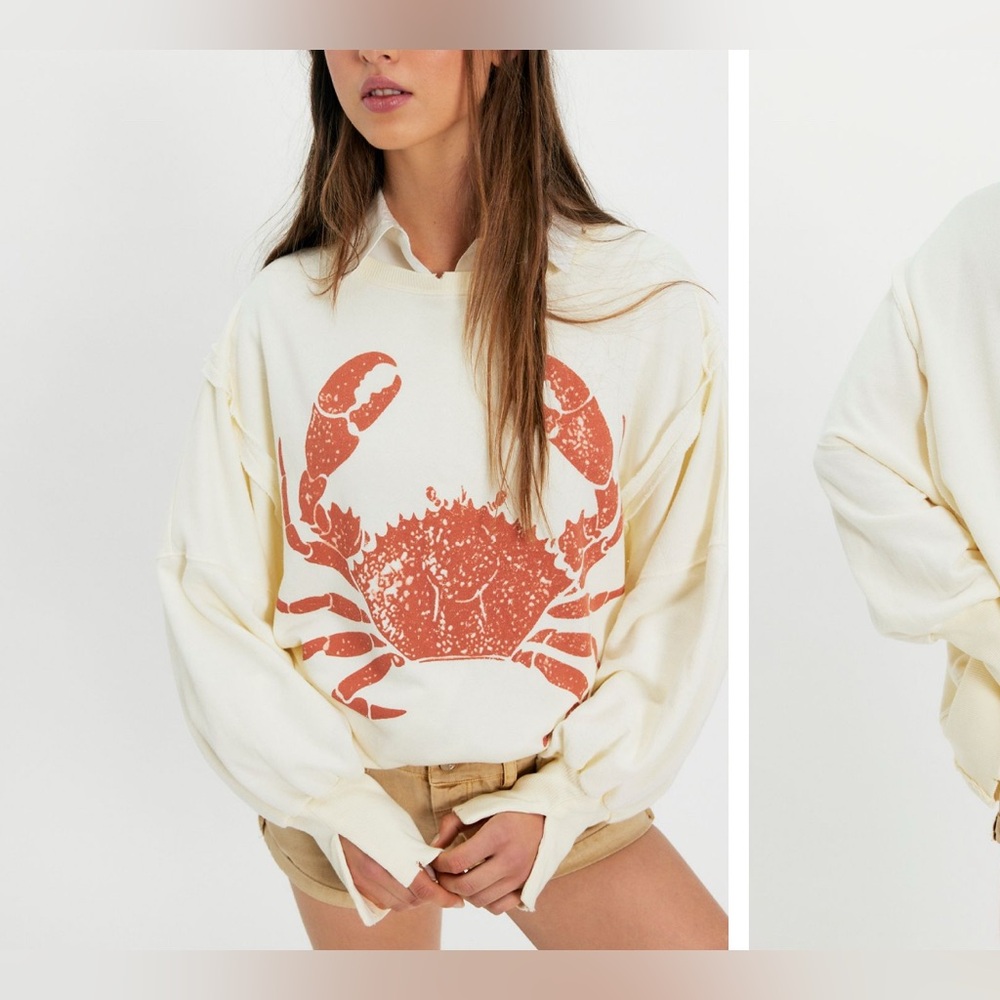 NWT Free People We The Free Graphic Camden Pullover - crab combo - Large - Picture 2 of 10